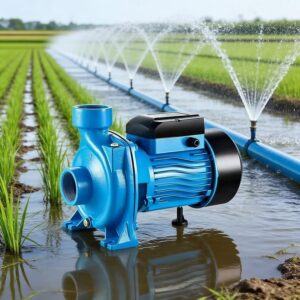 Electric irrigation pump sourcing