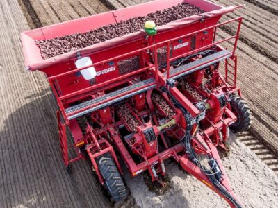 Potato planters Potato planters