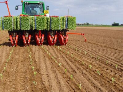 Vegetable planters. Best planters and seeders sourcing Vegetable planters. Best planters and seeders sourcing