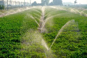 Buy and source sprinkler systems