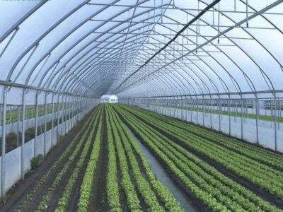 Green house structures. Greenhouse solutions sourcing Green house structures. Greenhouse solutions sourcing